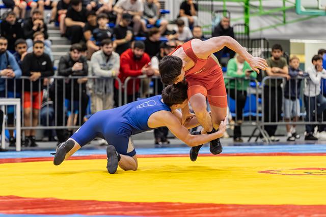 Blue wrestler launches red opponent airborne in dynamic throw, crowd watching intently in packed arena