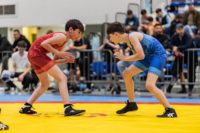 Two young wrestlers in red and blue singlets face off in a crouched ready stance on a yellow mat, crowd watching.
