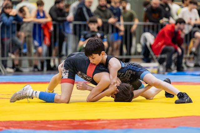 Young wrestler dominates opponent on yellow mat, pressing down with focused intensity during indoor tournament.