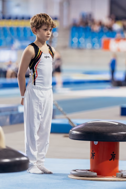 Young gymnast in Belgian colors stands still, focused and composed, preparing beside the pommel horse in a gymnasium.