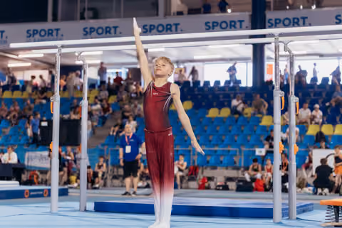 Young male gymnast stands tall, one arm raised in a proud salute before parallel bars in a packed sports arena.