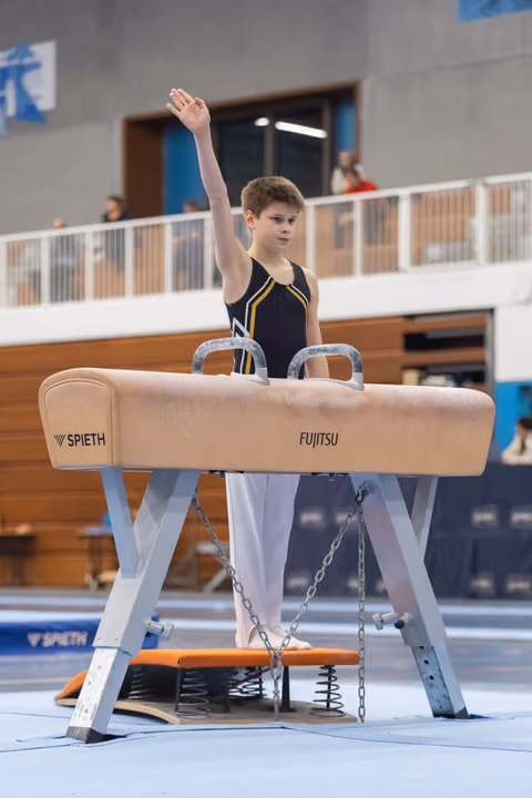 Young gymnast in navy leotard stands on pommel horse with one arm raised, preparing for his routine in competition hall