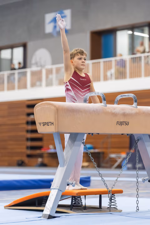 Young male gymnast in maroon leotard stands on pommel horse with arm raised in salute, focused expression in training facility
