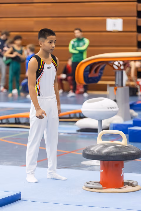 Young gymnast in white and tricolor uniform stands focused beside pommel horse apparatus, awaiting his turn in the gym