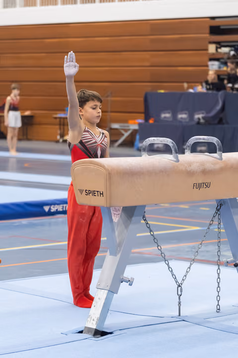 Young gymnast in red outfit stands at attention with raised arm, preparing to perform on pommel horse apparatus.