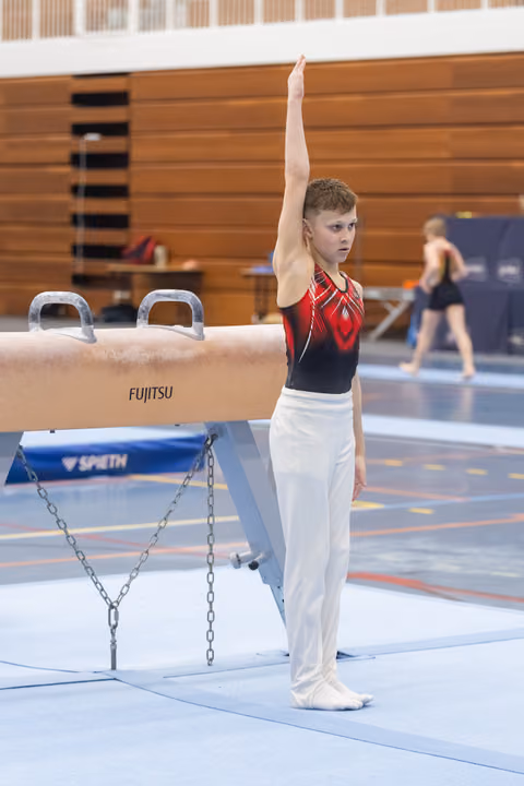 Young gymnast in red and black leotard stands with arm raised beside pommel horse, focused and ready to perform