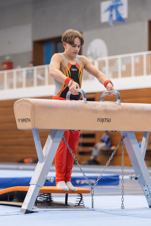 Gymnast with hands on pommel horse grips, focused expression, wearing colorful competition leotard in training facility