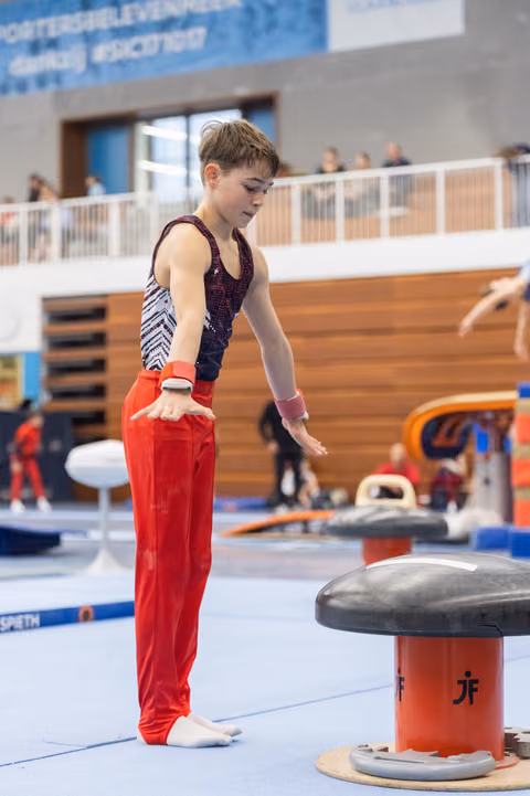 Young gymnast in red pants and sparkly leotard stands focused beside pommel horse, preparing for routine in training facility