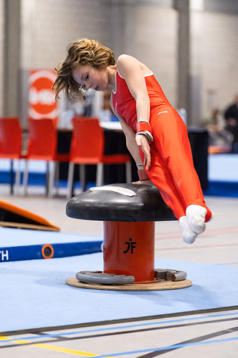 Gymnast in red leotard performing on pommel horse with focused concentration, body angled during routine