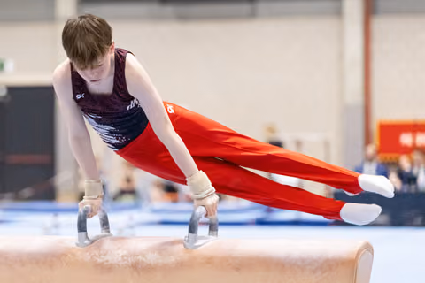 Young gymnast performs on pommel horse with intense focus, wearing purple and red uniform, gripping handles during routine