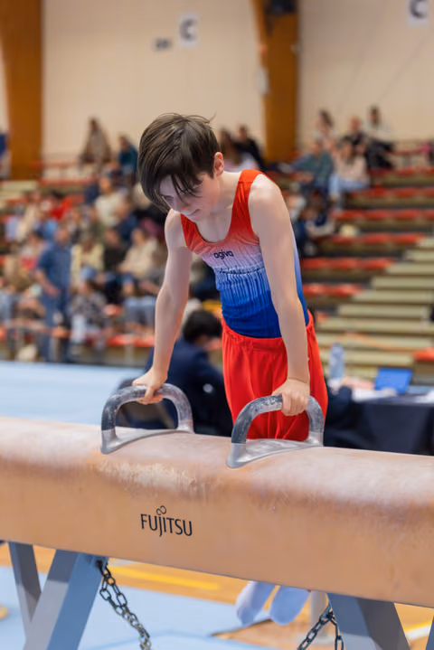 Young male gymnast grips pommel horse handles with intense focus, leaning forward in red and blue leotard before audience.