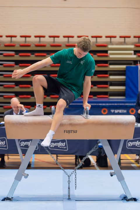 Young male gymnast in green shirt grips pommel horse handles, focused and balanced during a competitive gymnastics event.