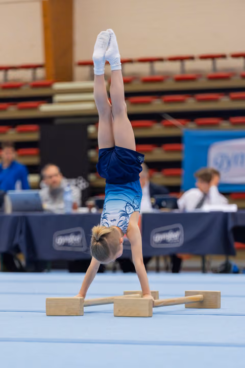 Young gymnast performs a precise handstand on parallel bars, legs straight up, during an indoor gymnastics meet.